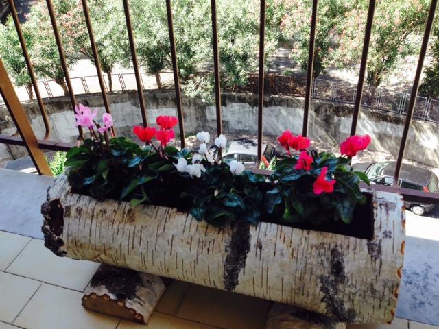 Chiavi Antiche B&B ซาแลร์โน ห้อง รูปภาพ
